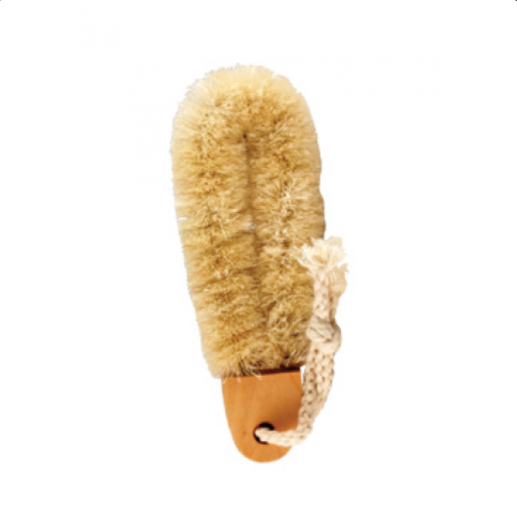Dry Bikini Brush Natural Bristle